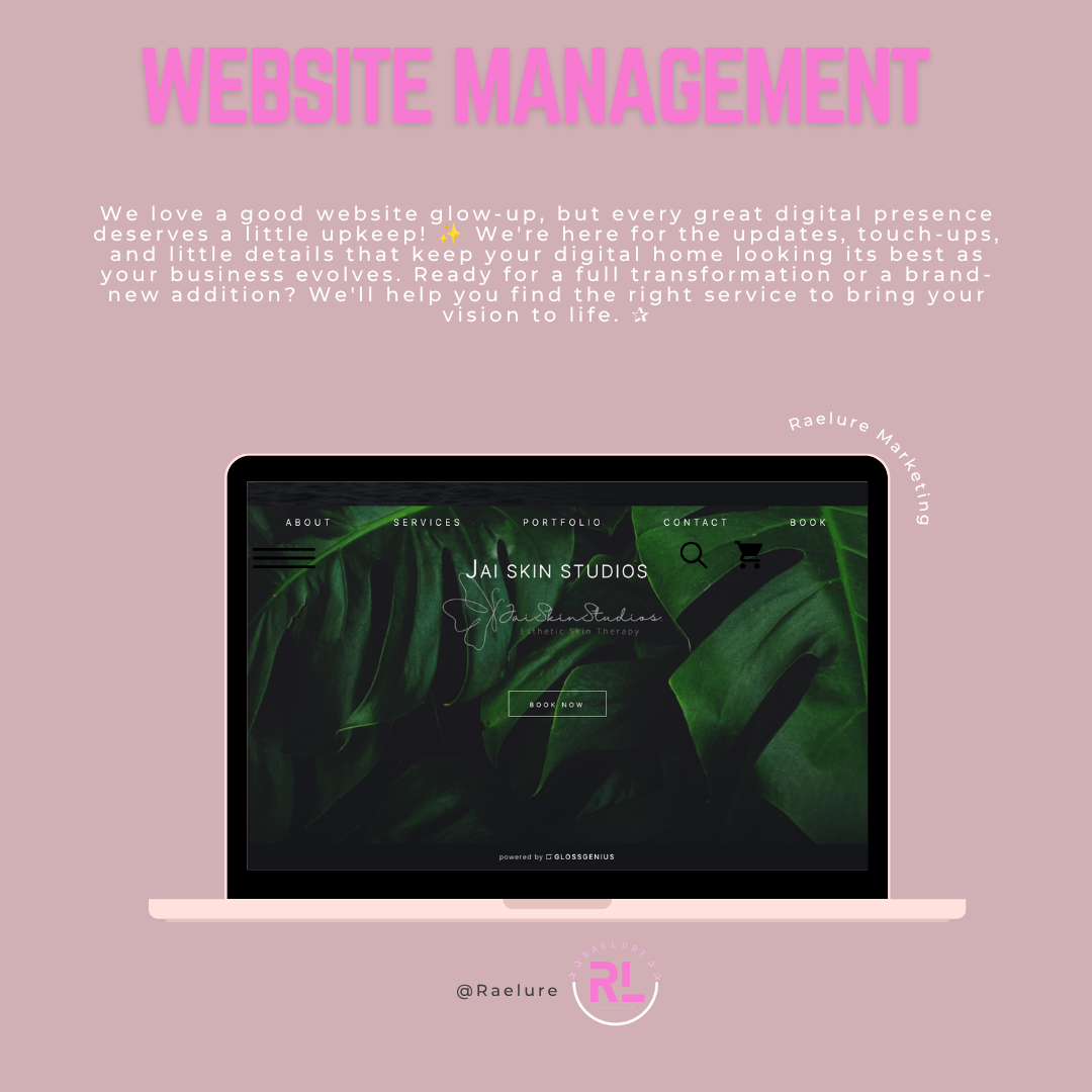 The Raelure Marketing Experience: Website Management