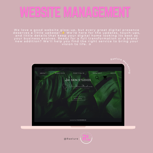 The Raelure Marketing Experience: Website Management